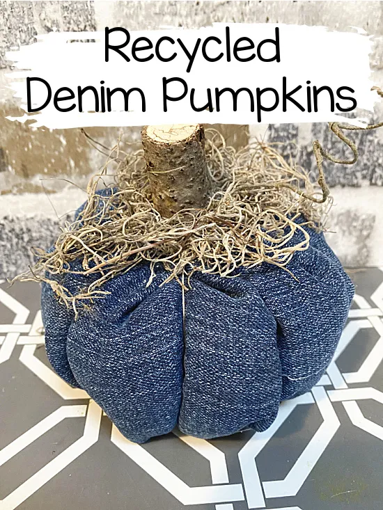 denim pumpkin with overlay
