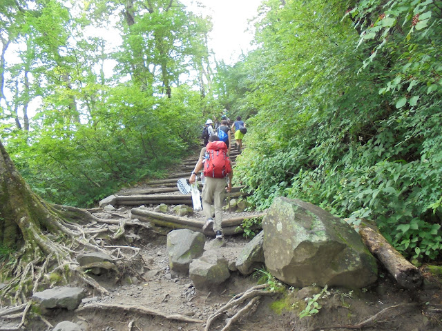 登山者は多いですどんどん登ります