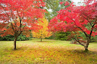 depositphotos_15326589-stock-photo-beautiful-autumn-fall-nature-image.jpg