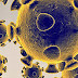 Dallas County reports 79 new coronavirus cases