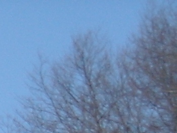 Nikon Coolpix L15