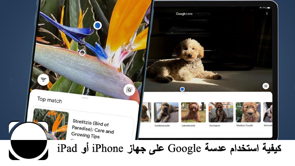 كيفية استخدام عدسة Google على جهاز iPhone أو iPad