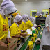 Keberhasikan Produksi Masal