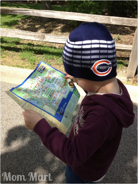 Reading the map at the Brookfield Zoo with the boys