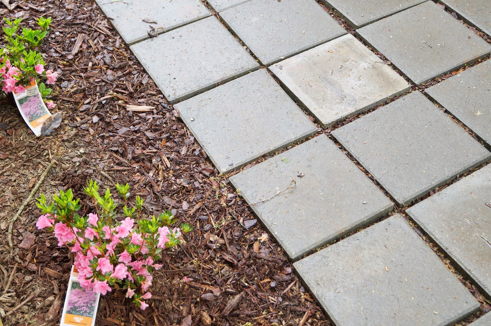 Don't Disturb This Groove: My Backyard Was A Hot Mess - BackyarD+Pavers++(6)