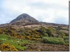 Parque Nacional de Connemara