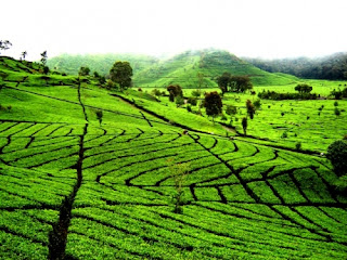 Kesultanan Banten