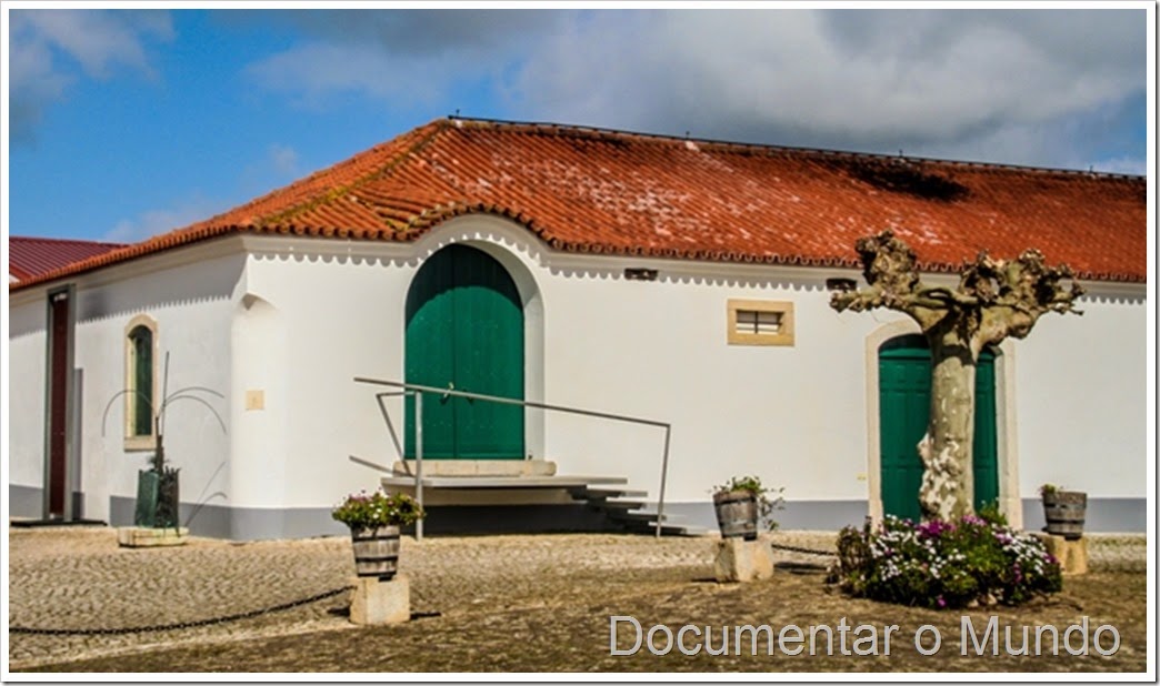 Quinta do Monte D’Oiro; Enoturismo no Oeste; Vinho regional de Lisboa