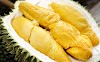 Cara Atasi Rasa Pening Dan Mual Selepas Makan Durian