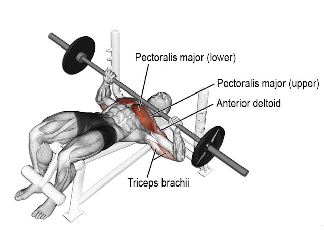 Decline bench press