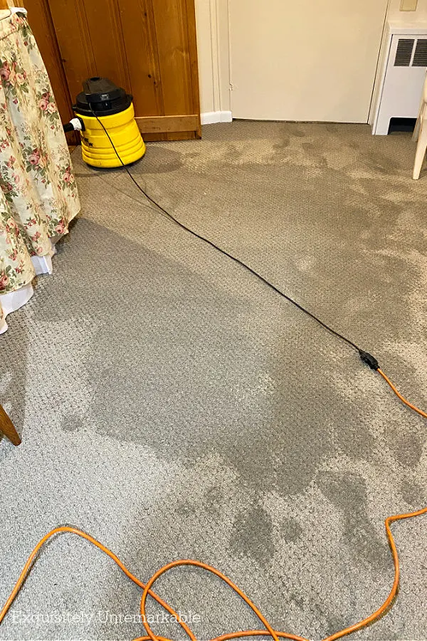 Wet Carpet From Washing Machine Flood