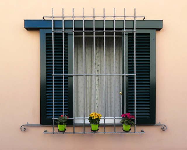 Three flower pots and a window, Via degli Archi, Livorno