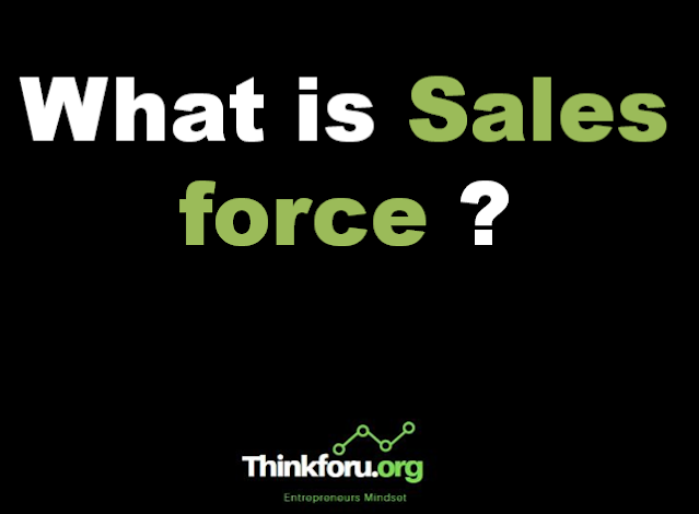 Cover Image Of What is Sales force ? [ Types And Example ]