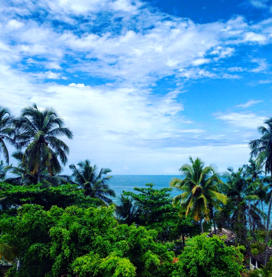 palm trees and ocean from varkala cliff