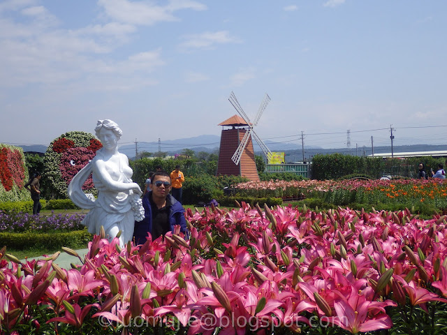 Zhongshe flower market taichung