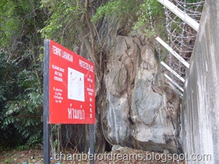 SDC11358
