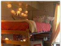 College Lofted Beds Quinnipiac and Video College Dorm Tour 2019 Quinnipiac University