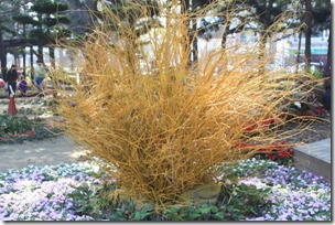 台南公園-2012百花祭14