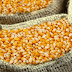 Monde: la RDC parmi les 8 pays interdits momentanément d’importer le maïs et le soja du Ghana