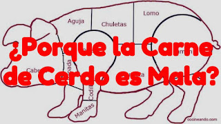 Enfermedades por carne de cerdo