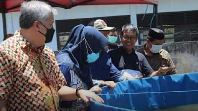 Manfaatkan Dana Desa Untuk Budidaya Ikan Nila, Ini Pesan Bupati Pinrang