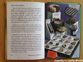 Ladybird book Prehistoric Animals and Fossils