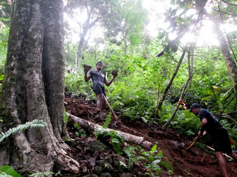 Progressivement, la randonnée se développe à Moorea