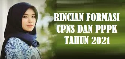 Rincian Formasi CPNS dan PPPK Pemerintah Kota Banda Aceh Provinsi Nanggroe Aceh Darussalam Tahun 2021