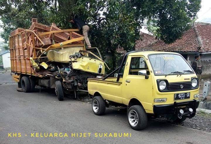 50 Truk Ayam Dijual, Paling Top