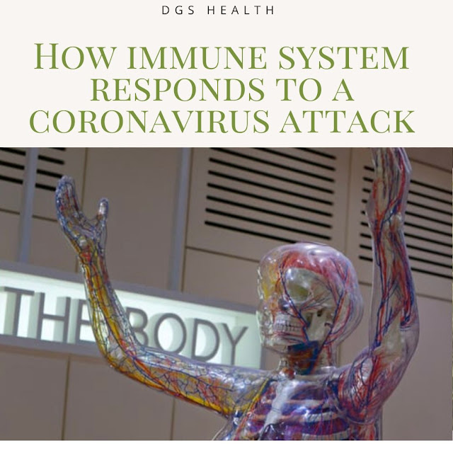 immunity system and virus attack