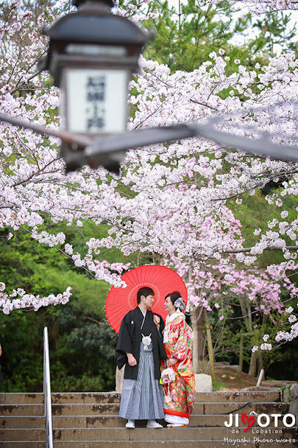 京都前撮りロケーション撮影｜桜