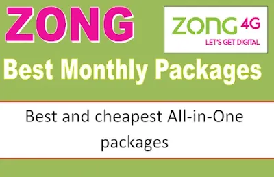 zong best all in one montly package 2023