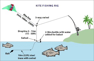 Angler's File: Kite Fishing