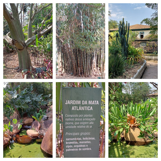 Jardim Botânico Plantarum em Nova Odessa (SP), na região de Campinas