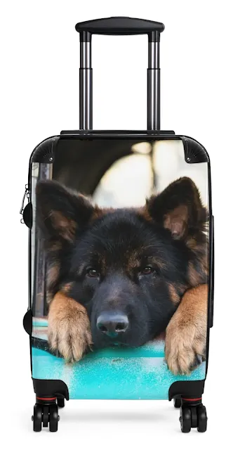 Travel Suitcase With Black and Red German Shepherd Puppy Putting His Head and Front Legs On The Truck Seat's Window
