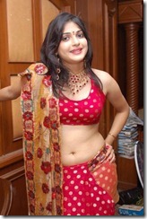 ACTRESS NICOLE LATEST PHOTOS sexy stills
