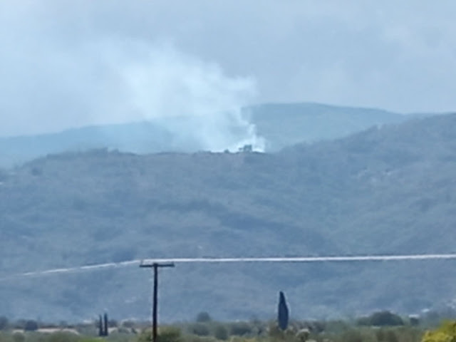 Φωτιά στη Λαντίνα Λακωνίας