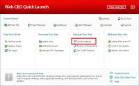 Figure 2.0 - Web CEO Quick Launch