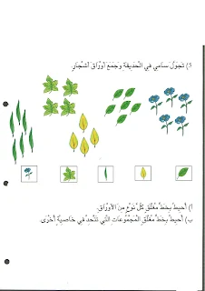 تكوين إتحاد مجموعتين سنة أولى إبتدائي , تمارين تكوين اتحاد مجموعتين منفصلتين , تمارين اتحاد مجموعتين في الرياضيات سنة اولى