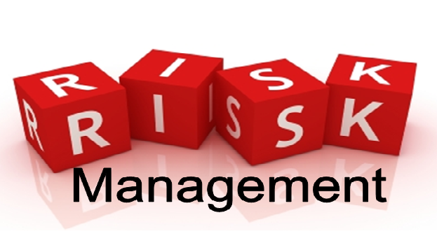 importance of risk management in an organisation