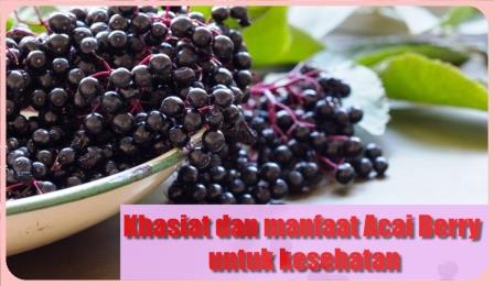 Khasiat dan Manfaat Acai Berry, acai berry diet