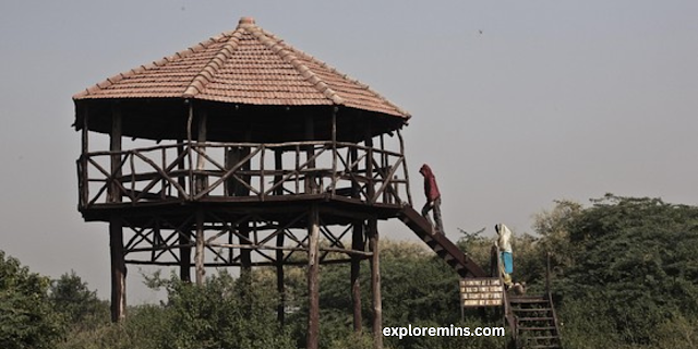 Asola Bhatti, wildlife sanctury, Delhi