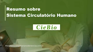 Resumo sobre Sistema Circulatório Humano