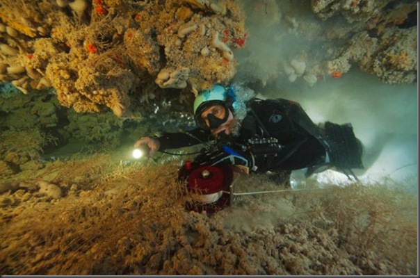 Lindas imagens de cavernas nas Bahamas (11)