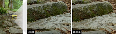 Nikon D800E 36.3 MP comparation betwen D800 and D800E 2