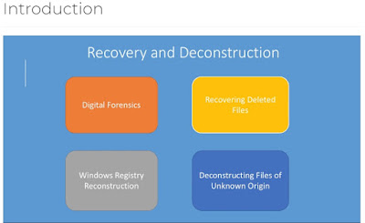 Digital Forensics for Cyber Professionals