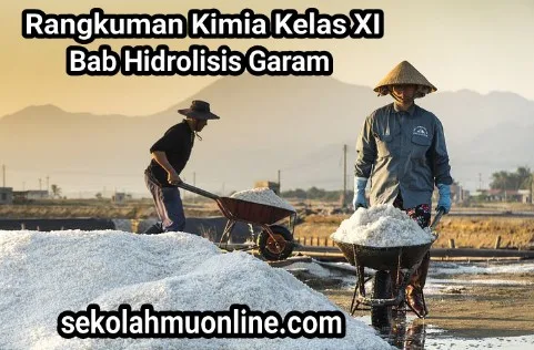 Rangkuman atau ringkasan Kimia Kelas X Bab Hidrolisis Garam