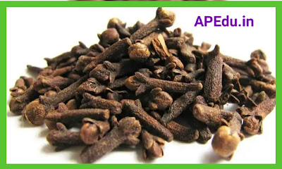 Health Benefits of Cloves: Eating Cloves .. All These Illnesses Can Be Cured