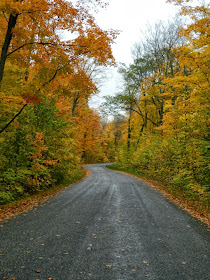 Lake Muskoka fall colours cottage road by garden muses--a Toronto gardening blog