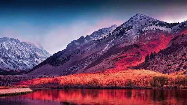 Free Macos High Sierra Nature wallpaper. Click on the image above to download for HD, Widescreen, Ultra HD desktop monitors, Android, Apple iPhone mobiles, tablets.